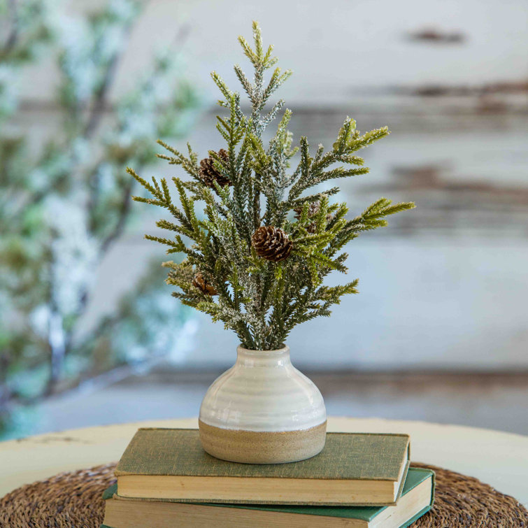 Primrue 12'' Faux Pine Tree in Pot Wayfair